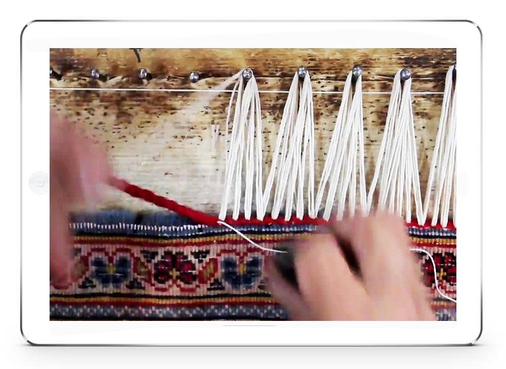 ریشه زنی فرش